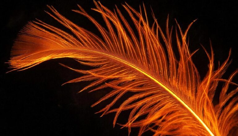 Сверкающее перо феникса с искрами огня на черном фоне.