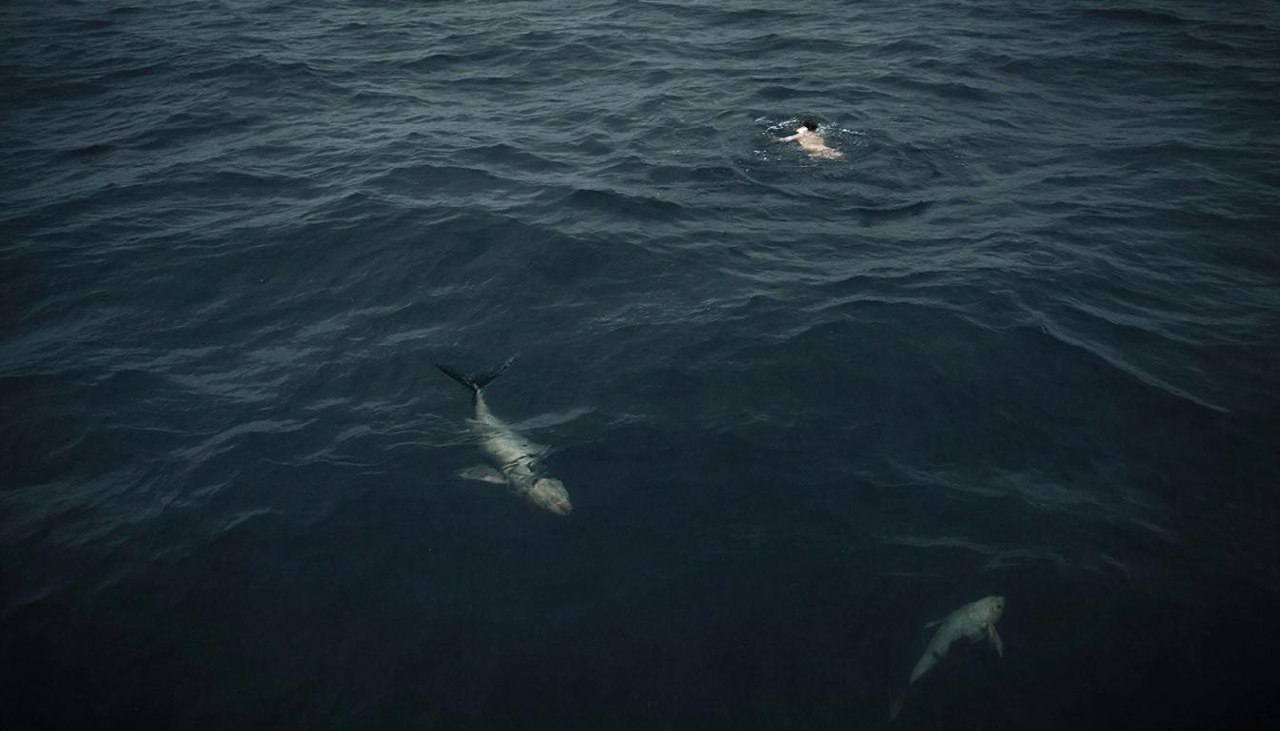 Неприятный сон про мертвую рыбу в темном море