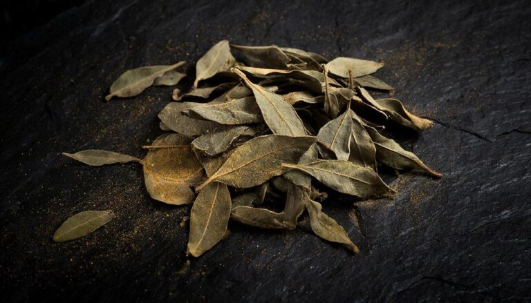 Макросъемка сухих лавровых листьев