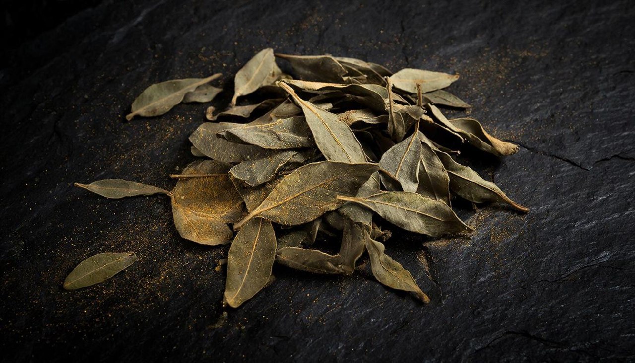 Макросъемка сухих лавровых листьев