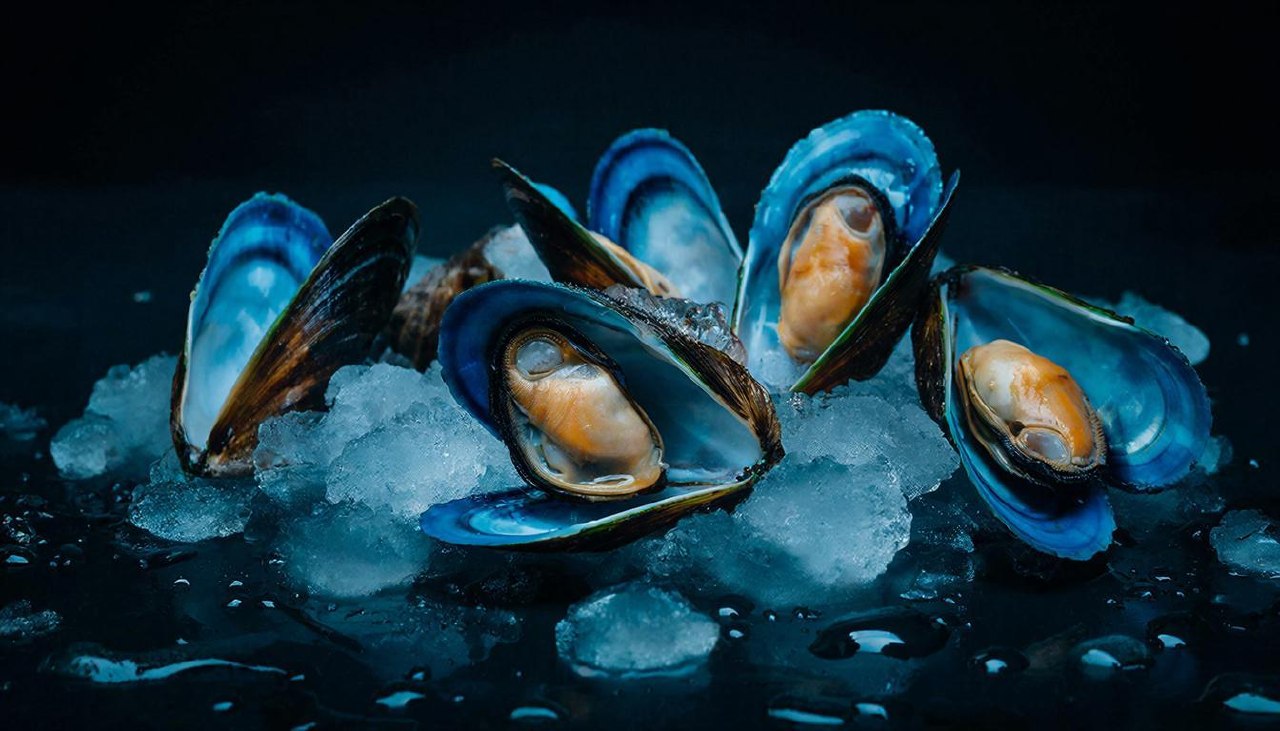 Свежие мидии на льду в темном освещении