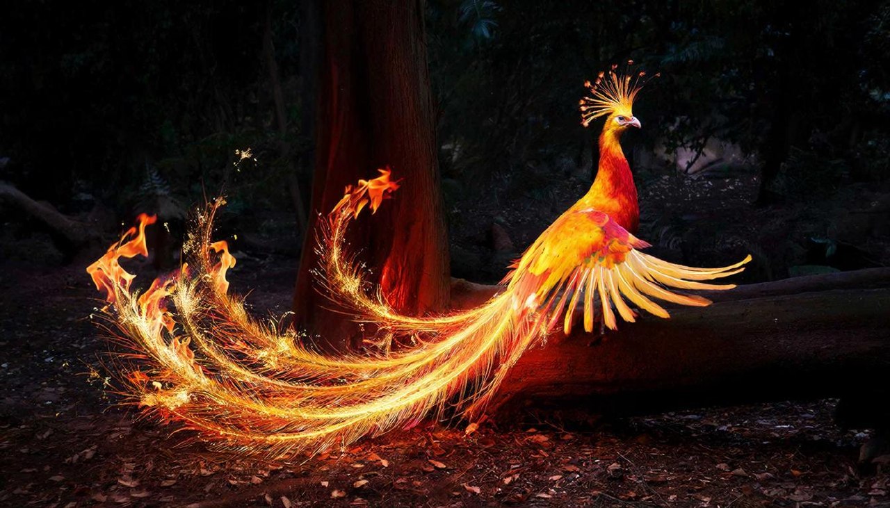 Сияющая Жар-птица с огненным хвостом в темном магическом лесу.